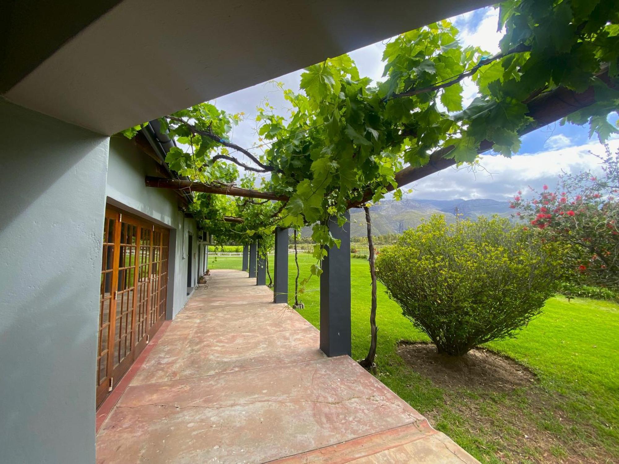 Oaksrest Vineyards Guest Farm Hotel Ladismith Exterior foto